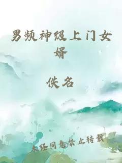 男频神级上门女婿