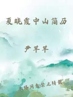 夏晓霞中山简历