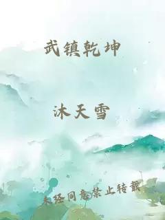 武镇乾坤