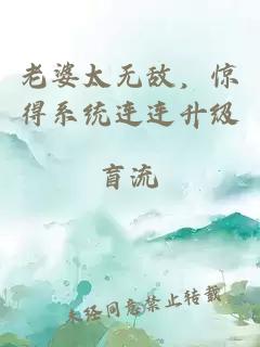 老婆太无敌，惊得系统连连升级